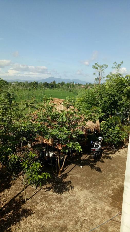 Nita Homestay Banyuwangi  Exterior photo